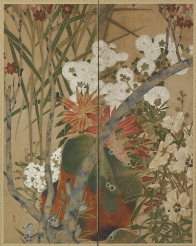 Roccia, piantine e fiori autunnali da Unknown artist