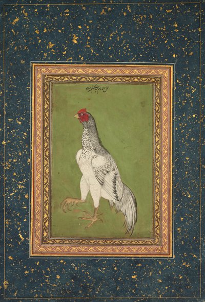 Gallo da Unknown artist