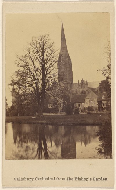 La Cattedrale di Salisbury dal Giardino del Vescovo da Unknown artist
