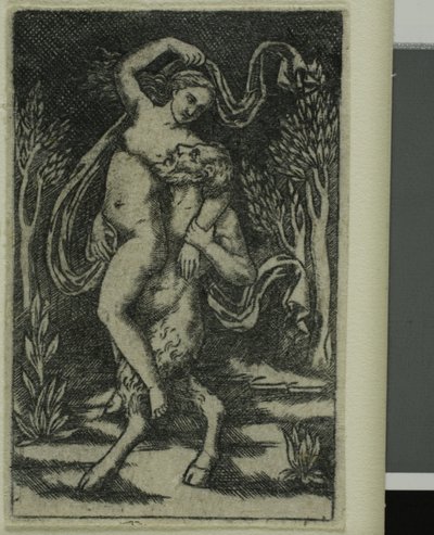 Satiro che trasporta una ninfa da Unknown artist