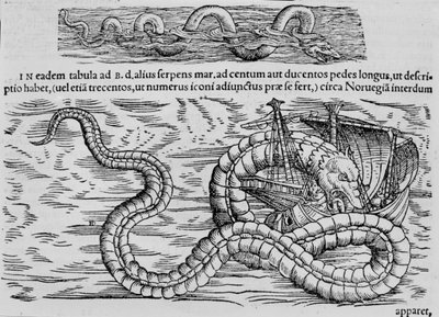 Serpente marino, creatura marina dopo Conrad Gesner da Unknown artist
