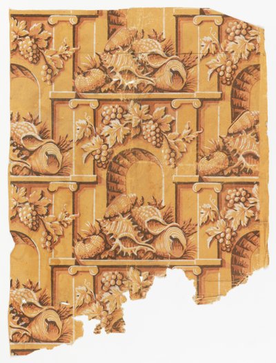 Conchiglie nell