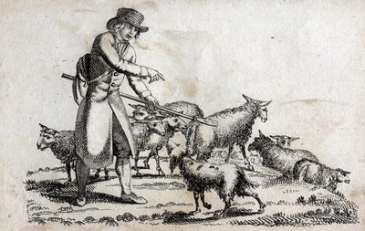 Pastore con il suo gregge di pecore. Incisione fine XVIII secolo. da Unknown artist