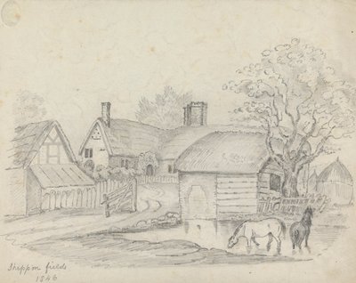 Sheppon Fields da Unknown artist