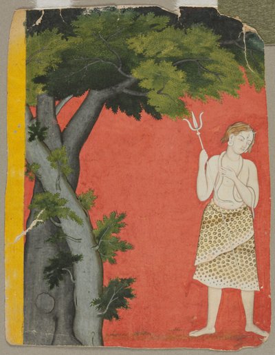 Shiva Sotto gli Alberi da Unknown artist