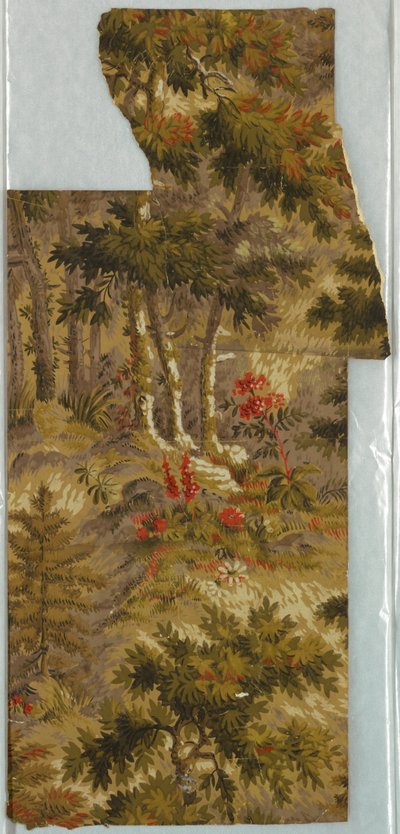 Carta da Parati da Unknown artist