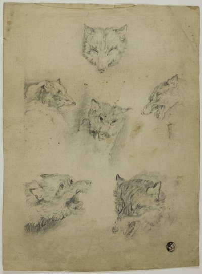 Sei schizzi di teste di lupo da Unknown artist