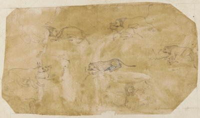 Sei gruppi di animali in lotta da Unknown artist