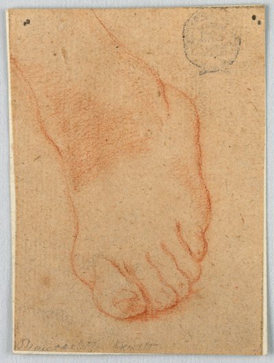 Schizzo di un piede sinistro da Unknown artist