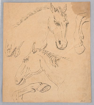 Schizzi di teste e zoccoli di cavallo da Unknown artist