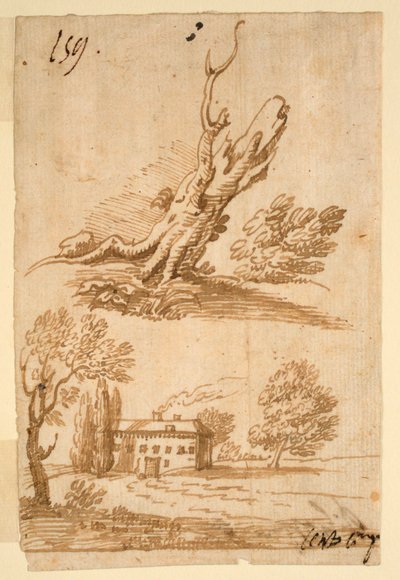 Schizzi di una villa e di un albero da Unknown artist