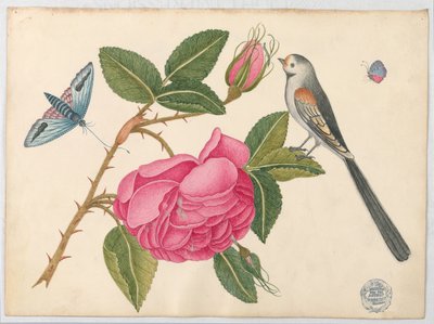 Piccolo Uccello Bianco e Nero su Foglia di Rosa con Fiori e Farfalle da Unknown artist