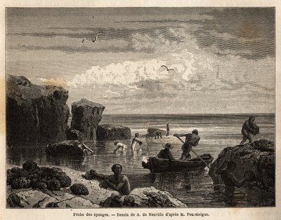 Pesca di spugne dagli isolani dell