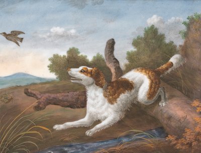 Springer: uno spaniel che salta su un tronco per far scattare una beccaccia a sinistra da Unknown artist