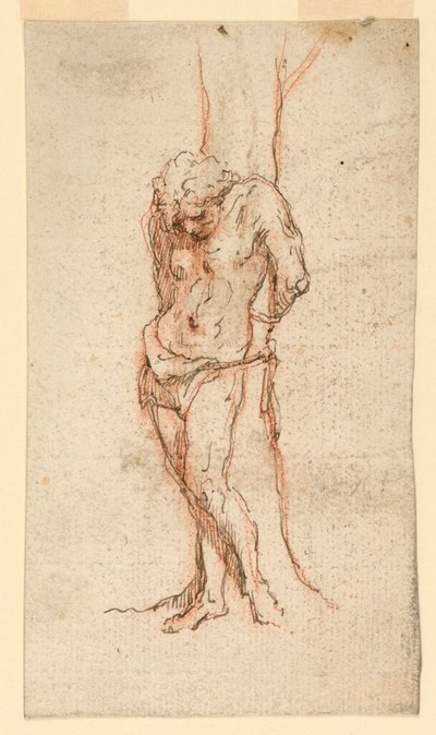 San Sebastiano Legato a un Albero da Unknown artist