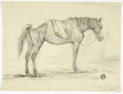 Cavallo in piedi da Unknown artist