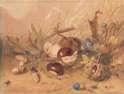 Natura morta con ghiande e castagne da Unknown artist
