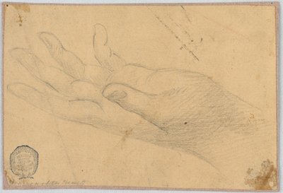 Studio: Una mano sinistra da Unknown artist