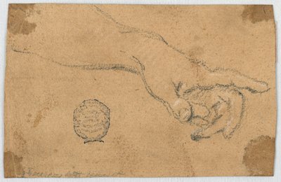 Studio: Un avambraccio sinistro e mano tesi da Unknown artist