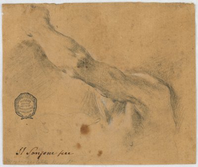 Studio: Il braccio sinistro e le parti vicine del corpo di un uomo anziano da Unknown artist