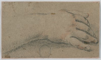 Studio: La mano destra di una donna da Unknown artist