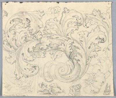 Studio per ornamento di acanto ricurvo da Unknown artist
