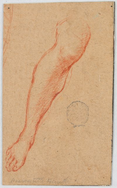 Studio per la gamba destra di una donna seduta da Unknown artist