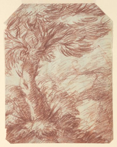 Studio di alberi da Unknown artist
