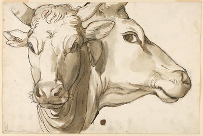 Studio di una Mucca da Unknown artist
