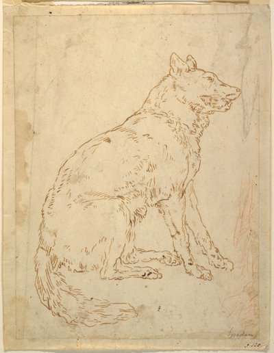 Studio di un cane da pastore da Unknown artist