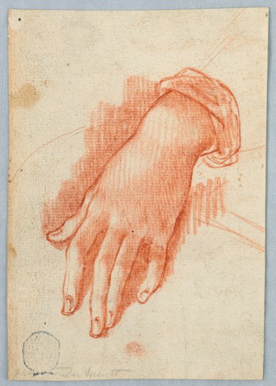 Studio della mano sinistra di una donna da Unknown artist