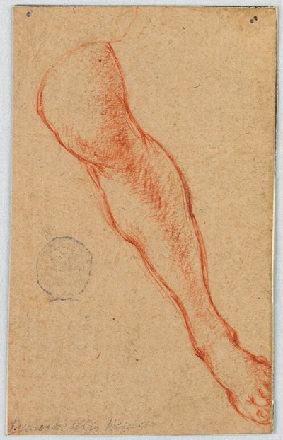 Studio della gamba sinistra di una donna seduta da Unknown artist