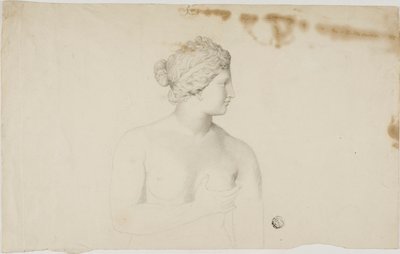 Studio della Venere Medici da Unknown artist