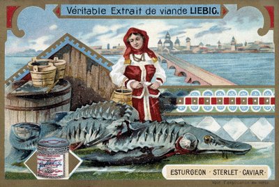 Storione, sterlet, caviale, con una giovane donna che tiene secchi, davanti a una città russa - Cromolitografia Liebig da Unknown artist