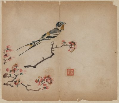 Rondine su ramo di pesco in fiore da Unknown artist