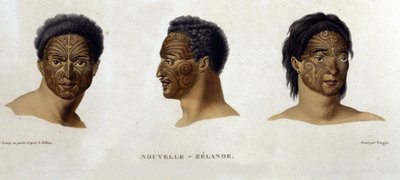 Tatuaggi di un nativo della Nuova Zelanda da Unknown artist