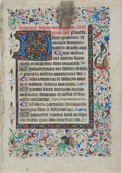 Foglio di testo di un libro d
