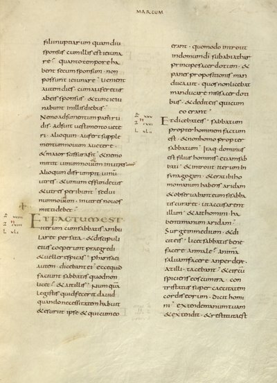 Pagina di testo da Unknown artist