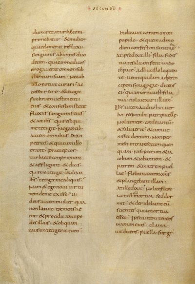 Pagina di testo da Unknown artist