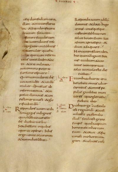 Pagina di testo da Unknown artist