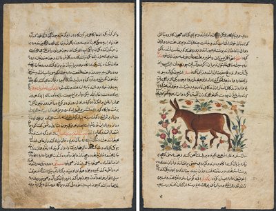 Pagina di testo, Prosa persiana (Recto); Khar (Asino) (Verso) da Unknown artist