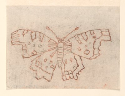 Disegno tessile: Una farfalla da Unknown artist