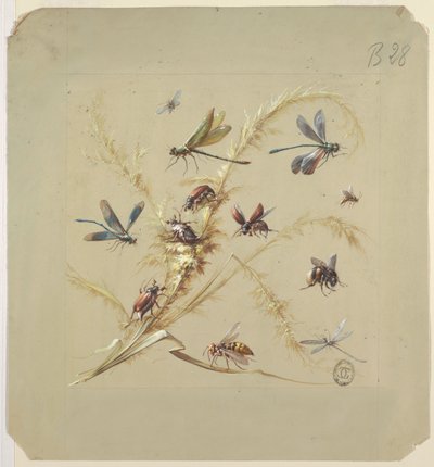 Disegno di tessuto o carta da parati: insetti da Unknown artist