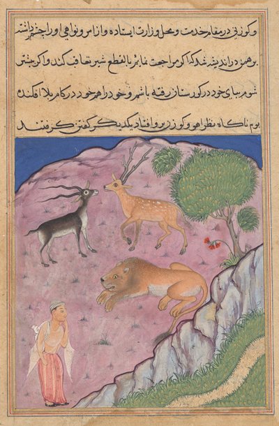 Il Brahmano incontra un leone che ha un cervo e una gazzella come suoi visir, da un Tuti-nama (Racconti di un pappagallo): Ventunesima Notte da Unknown artist