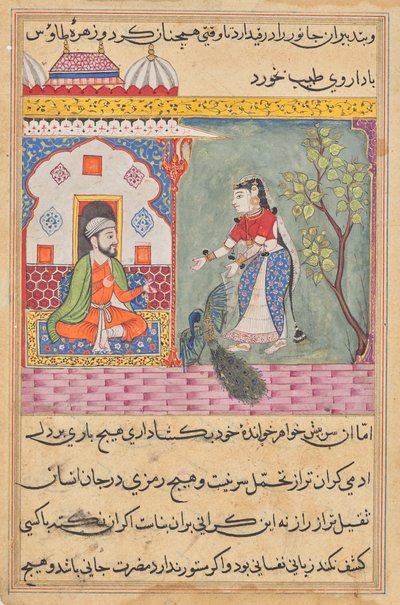 La moglie del Brahmano che uccise un pavone e mangiò la sua cistifellea su consiglio del medico, da un Tuti-nama (Racconti di un pappagallo): Diciannovesima Notte da Unknown artist