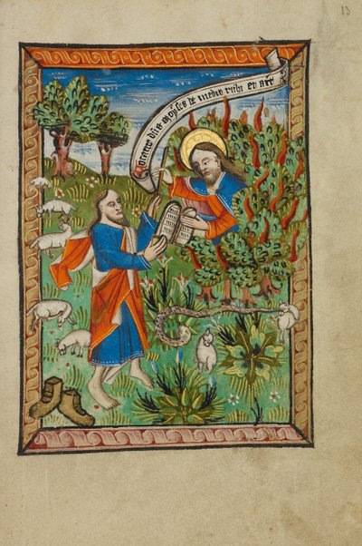 Il cespuglio ardente da Unknown artist