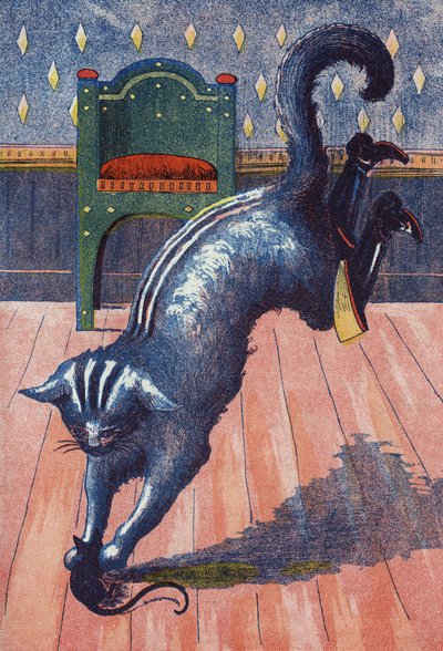 Il gatto si getta sull