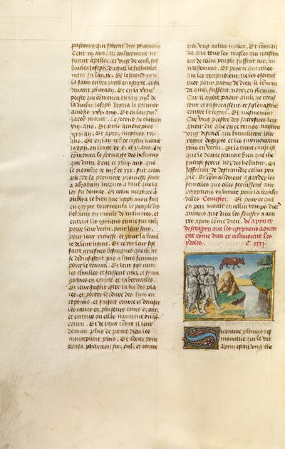 Gli Egizi venerano l