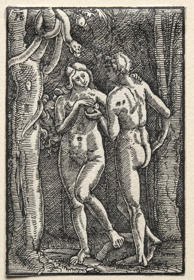 La caduta e la redenzione dell