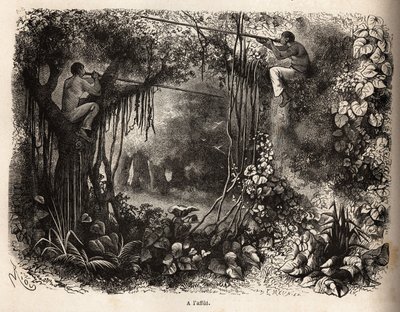 Gli indiani Yahua del Perù sono in attesa di selvaggina, appollaiati sui rami e armati di cerbottane con freccette avvelenate. Incisione per illustrare il viaggio dall